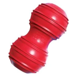 Kong Large Dental Dog Toy