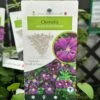 Clematis 'Etoile Violette' Climber 3Ltr Pot 2 Clematis 'Etoile Violette' Climber 3Ltr Pot -Planters Kit Sales 30198710