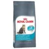 Royal Canin 4kg Uninary Care Cat Food -Planters Kit Sales 3182550842952