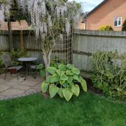 The Good Life 1.2 X 1.8m Natural Jute Rope Trellis -Planters Kit Sales 5010453008350 2