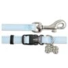 Ancol Small Bite Baby Blue Jewel Puppy Collar & Lead Set -Planters Kit Sales 5016646139443
