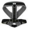 Ancol Viva X-Large Black Padded Dog Harness 2 Ancol Viva X-Large Black Padded Dog Harness -Planters Kit Sales 5016646180810 9bf933ce 00f9 4423 9b4d f429f974f5a1