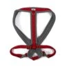 Ancol Viva X-Large Red Padded Dog Harness 2 Ancol Viva X-Large Red Padded Dog Harness -Planters Kit Sales 5016646180827 37ad7871 c14e 4692 a10f eaa0a666e4a7