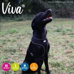 Ancol Viva Medium Black Comfort Mesh Dog Harness -Planters Kit Sales 5016646185112 3 d3db27e7 292c 438b 90e1 f5bb10d8740b