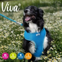 Ancol Viva Medium Blue Comfort Mesh Dog Harness -Planters Kit Sales 5016646185174 3 7c930222 2c2d 48f6 bfd6 967a8eaaef9d