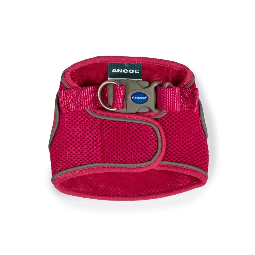 Ancol Viva Pink Step-In Harness 3 Ancol Viva Pink Step-In Harness