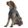 Ancol Muddy Paws 30cm Paws Green Parka Dog Coat - Small -Planters Kit Sales 5016646801494 cbee8763 8b33 4408 9c7e 33d071450d36
