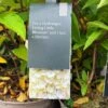 Hydrangea Paniculata 'Little Blossom' 5Ltr Pot -Planters Kit Sales 5019945247536