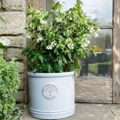 Woodlodge 38cm White / Cream Glazed Heritage Cylinder Pot -Planters Kit Sales 5021346424430