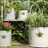Woodlodge 36cm Wisteria Bee Cylinder Planter -Planters Kit Sales 5021346427103 fc6da6c1 b0d2 4bcf b384 7b6ce5ac5412