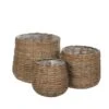 Woodlodge Sencha Wicker Baskets -Planters Kit Sales 5021346444162