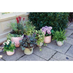 Woodlodge 26cm Pastel Pink Glazed Egg Pot -Planters Kit Sales 5021346502015 2