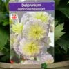 Delphinium 'Moonlight' 3Ltr Pot -Planters Kit Sales 5021768046050