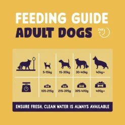 Burgess 12.5kg Sensitive Complete Turkey & Rice Adult Dog Food -Planters Kit Sales 5023861119952 2