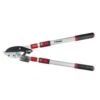 Darlac Telescopic Ratchet Lopper -Planters Kit Sales 5038210003479