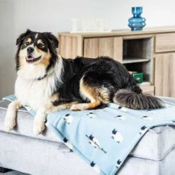 Zoon Counting Sheep Fleece Pet Comforter -Planters Kit Sales 5050642042949 3