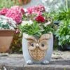 Flamboya 23cmWoodstone Owl Planter -Planters Kit Sales 5050642048118