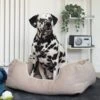 Zoon Stone TuffEarth Recycled Chenille Square Pet Bed -Planters Kit Sales 5050642068376 4bf5df75 66d0 4d21 b0e8 99468978050d