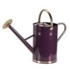 Smart Garden 9 Litre Violet Metal Watering Can 1 Smart Garden 9 Litre Violet Metal Watering Can -Planters Kit Sales 5050642069991 bb1d1b4b 5c00 4767 bfda a5c5e02a4125