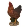 Vivid Arts 28cm Summer Hen - XRL-CHKN-D -Planters Kit Sales 5055195014733