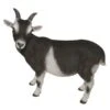 Vivid Arts 29cm Standing Goat- XRL-GOAT-D -Planters Kit Sales 5055195017475