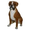 Vivid Arts 47cm Boxer Dog - XRL-BOXR-A 2 Vivid Arts 47cm Boxer Dog - XRL-BOXR-A -Planters Kit Sales 5055195017628
