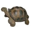 Vivid Arts 27cm Giant Tortoise -XRL-GTRT-D -Planters Kit Sales 5055195018816