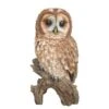 Vivid Arts 31.5cm Tawny Owl - XRL-TWNY-B 1 Vivid Arts 31.5cm Tawny Owl - XRL-TWNY-B -Planters Kit Sales 5055195019448 c1876a6d fd06 4298 b9e0 29c74b19bfd2