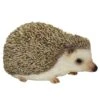 Vivid Arts 13cm Pet Pals Pygmy Hedgehog - PP-PHED-F -Planters Kit Sales 5055195019943