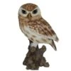Vivid Arts 22cm Little Owl - XRL-LTWL-D -Planters Kit Sales 5055195019981 6c6be2ff 1f1b 44e8 9a32 cdc02d0af566