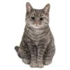 Vivid Arts 30cm Tabby Sitting Cat - XRL-SC33-B -Planters Kit Sales 5055195020222