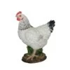 Vivid Arts 27cm Black & White Summer Hen - XRL-CH47-D -Planters Kit Sales 5055195020482