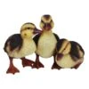 Vivid Arts 23cm Standing Duckling Group - NF-DK26-D -Planters Kit Sales 5055195023674
