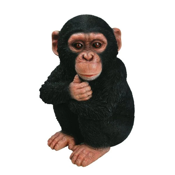 Vivid Arts 18cm Baby Chimpanzee - XRL-CHM2-F 3 Vivid Arts 18cm Baby Chimpanzee - XRL-CHM2-F