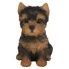 Vivid Arts 16cm Yorkshire Terrier Puppy Pet Pals - PP-Y 2 Vivid Arts 16cm Yorkshire Terrier Puppy Pet Pals - PP-Y -Planters Kit Sales 5055195025302