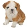 Vivid Arts 19cm Bulldog Puppy Pet Pals - PP-BDOG-F -Planters Kit Sales 5055195025319