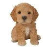 Vivid Arts 16cm Pet Pals Brown Cockapoo Puppy - PP-CKP5 1 Vivid Arts 16cm Pet Pals Brown Cockapoo Puppy - PP-CKP5 -Planters Kit Sales 5055195025593