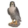 Vivid Arts 25cm Peregrine Falcon - XRL-PFAL-B -Planters Kit Sales 5055195025807