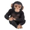 Vivid Arts 14cm Pet Pals Sitting Baby Chimp - PZ-CHM3-F 2 Vivid Arts 14cm Pet Pals Sitting Baby Chimp - PZ-CHM3-F -Planters Kit Sales 5055195030498