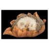 Vivid Arts Baby Hedgehog Sleeping On Leaf XRL-HH09-F 1 Vivid Arts Baby Hedgehog Sleeping On Leaf XRL-HH09-F -Planters Kit Sales 5055195037596