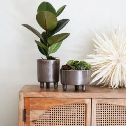 Ivyline 19cm Mocha Pisa Bowl Indoor Houseplant Pot -Planters Kit Sales 5055352850235 3