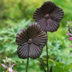 Wilstone 127cm Iron Poppy Flower Garden -Planters Kit Sales 5060345971767 4
