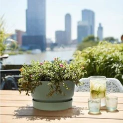 Elho 33cm Leaf Green Greenville Bowl Planter -Planters Kit Sales 8711904332464 4