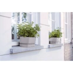 Elho 50cm Living Concrete Greenvillle Long Trough Planter -Planters Kit Sales 8711904358440 4