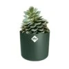 Elho 25cm Leaf Green B.For Soft Round Pot -Planters Kit Sales 8711904494551 c98b32dd edd0 40ef acf0 4f28152f3877