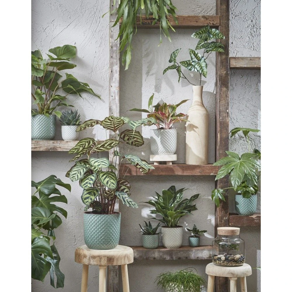 Mica Decorations 17cm Green Daan Houseplant Pot 4 Mica Decorations 17cm Green Daan Houseplant Pot - Image 2