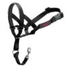 Halti Size 5 Black Dog Training Headcollar -Planters Kit Sales 886284115209 0aa4ffca 62ec 420e ae18 afdafc21f16e