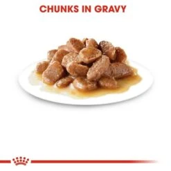 Royal Canin 12 X 85g Ageing +12 Cat Food In Gravy 7 Royal Canin 12 X 85g Ageing +12 Cat Food In Gravy -Planters Kit Sales 9003579310175 2