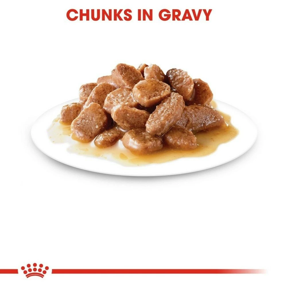 Royal Canin 12 X 85g Ageing +12 Cat Food In Gravy 5 Royal Canin 12 X 85g Ageing +12 Cat Food In Gravy - Image 3