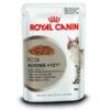Royal Canin 12 X 85g Ageing +12 Cat Food In Gravy 1 Royal Canin 12 X 85g Ageing +12 Cat Food In Gravy -Planters Kit Sales 9003579310175 c8efbec7 6e98 4999 98ad 56e06096d478